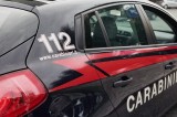 Guardia Lombardi – In auto con cardellini: Carabinieri denunciano tre persone