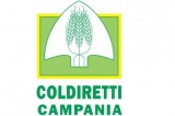 Coldiretti Giovani Campania – Si punta sulle reti d’impresa