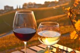 A Montemarano il “Salotto dei vini buoni”
