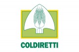 Agroalimentare, Coldiretti: “Con aste a ribasso piaga caporalato”